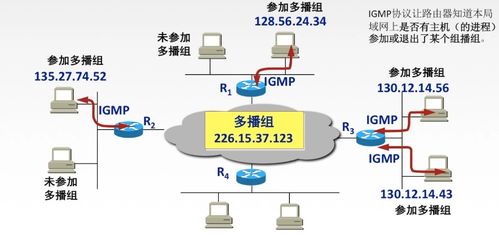 计算机网络网络层技术开发 从协议解析到实践应用
