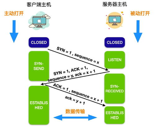 计算机网络概念索引与开发技术剖析